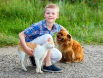 boy with cat and dog