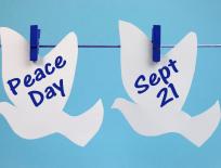 dove decoration for Peace Day