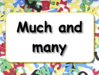 Grammar practice: Much and many