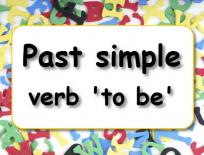 Grammar practice: Past simple - verb 'to be'