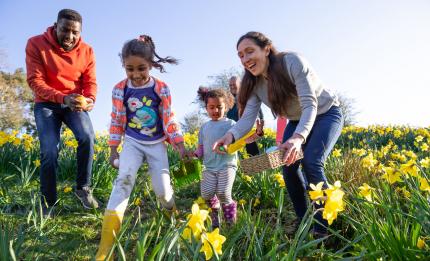 family looking for Easter eggs