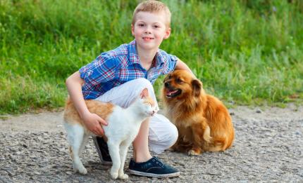 boy with cat and dog