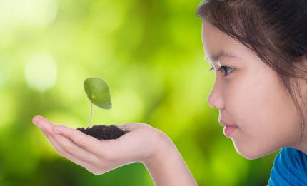 girl looking at a plant