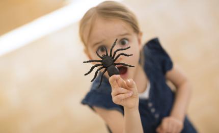 girl holding fake spider