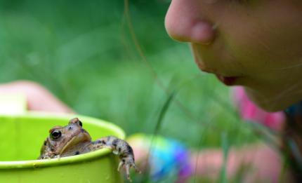 child with a frog in a garden