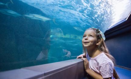 girl at an aquarium