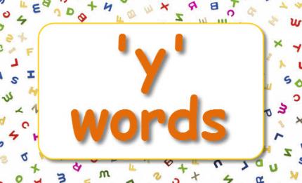 'y' words