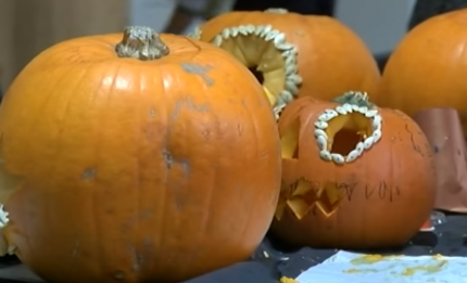 What to do with your leftover Halloween pumpkins screenshot