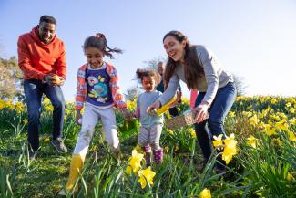 family looking for Easter eggs