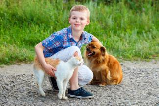 boy with cat and dog