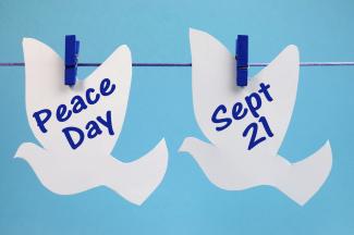 dove decoration for Peace Day