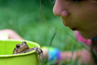 child with a frog in a garden