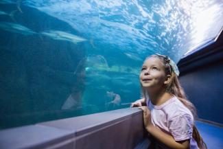 girl at an aquarium